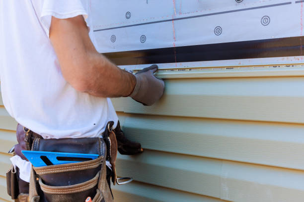 Affordable Siding Repair and Maintenance Services in Hammond, IN